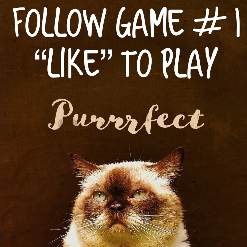 🐈🐾 Follow Game 🐈🐾 Like to play tag & share
